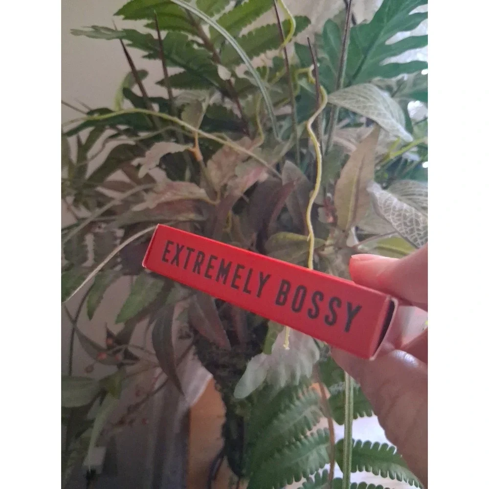 Bossy By Nature Buttery Blush Dynamic New In Box  6.4 gr